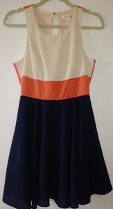 Double Zero Fit and Flare Dress